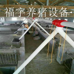 福宇畜牧 自動(dòng)化料線賦能牧場(chǎng)，一次投資開啟終身效益新篇章